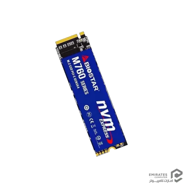 حافظه اس اس دی Biostar M760 256Gb