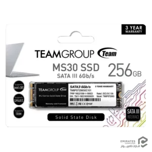 حافظه اس اس دی Teamgroup Ms30 256Gb