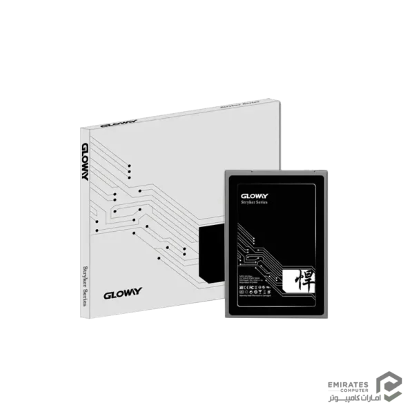 حافظه اس اس دی Gloway Stk 480Gb