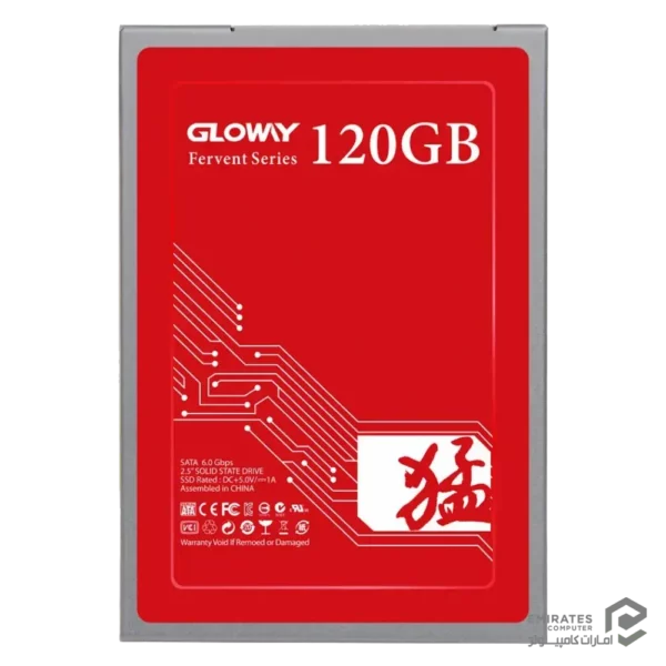 حافظه اس اس دی Gloway Fervent 120Gb