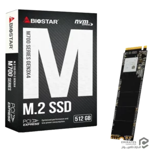 حافظه اس اس دی Biostar M700 512Gb