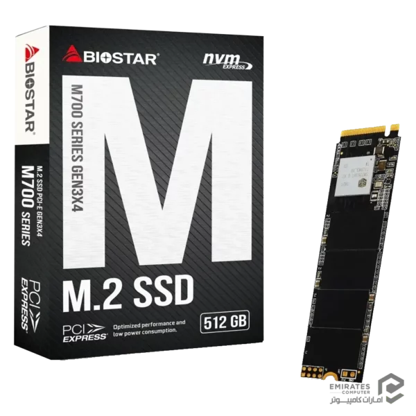 حافظه اس اس دی Biostar M700 512Gb