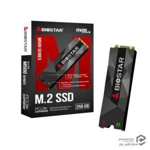 حافظه اس اس دی Biostar M500 256Gb